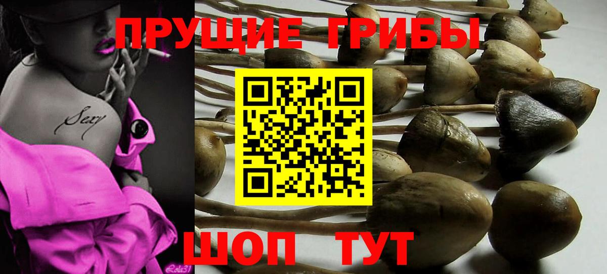 Псилоцибиновые грибы ЛСД  Галлюциногенные грибы Psilocybine cubensis  Ковров  Вход с VPN 